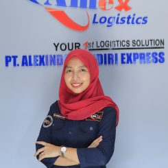 PT. ALEXINDO MANDIRI EXPRESS